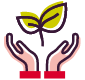 Icon Hände mit wachsender Pflanze