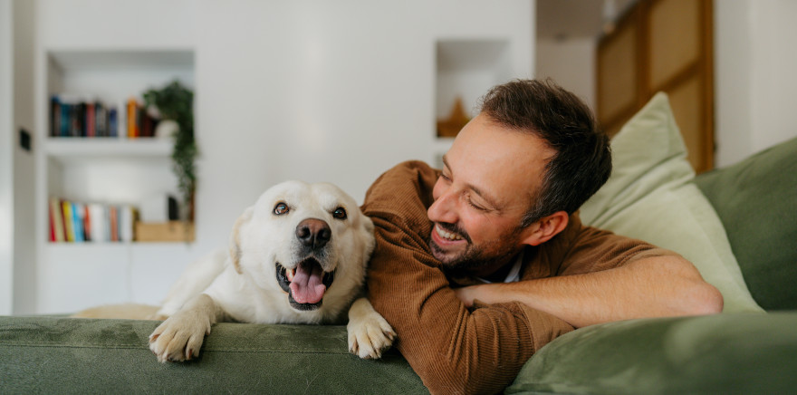 BKM-Bausparkasse-Bausparen-Unsere-Tarife